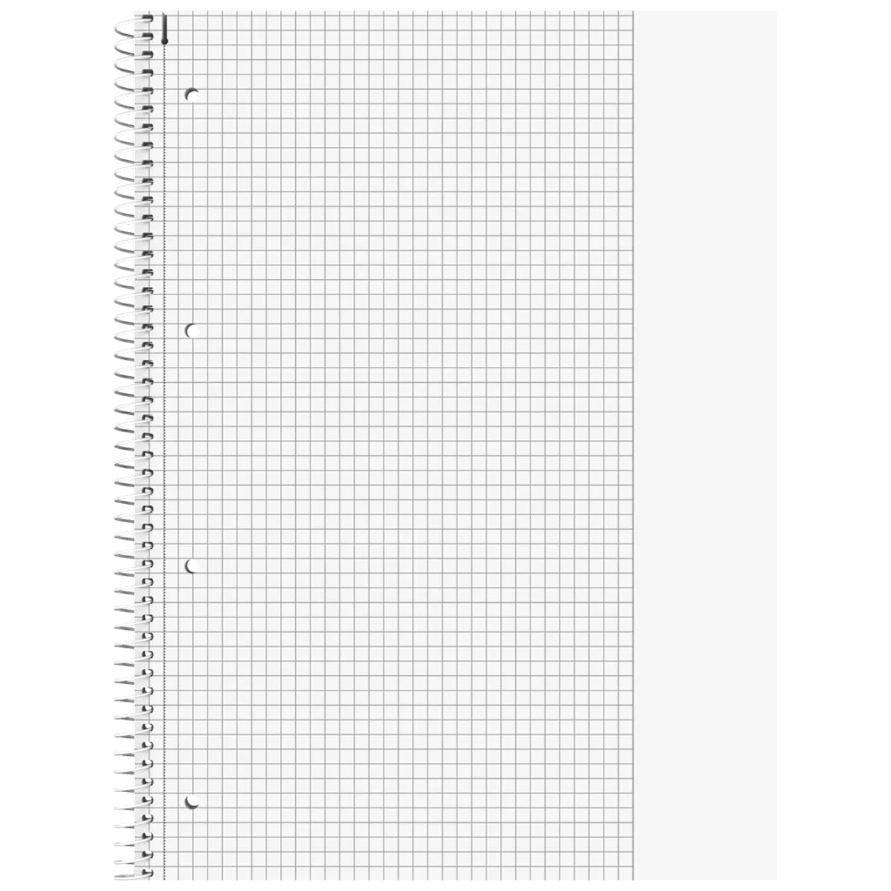 BRUNNEN Collegeblock A4 Duo · Lin. 25 / 26 · kariert & liniert