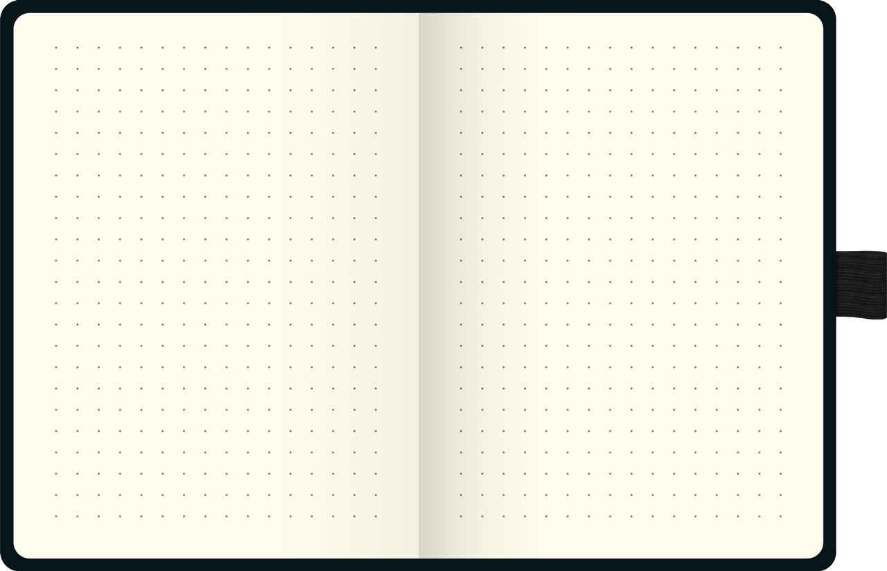 Brunnen-Notizbuch-A5-Kompagnon-Metallic-dotted-ansicht-innen-lafueliki