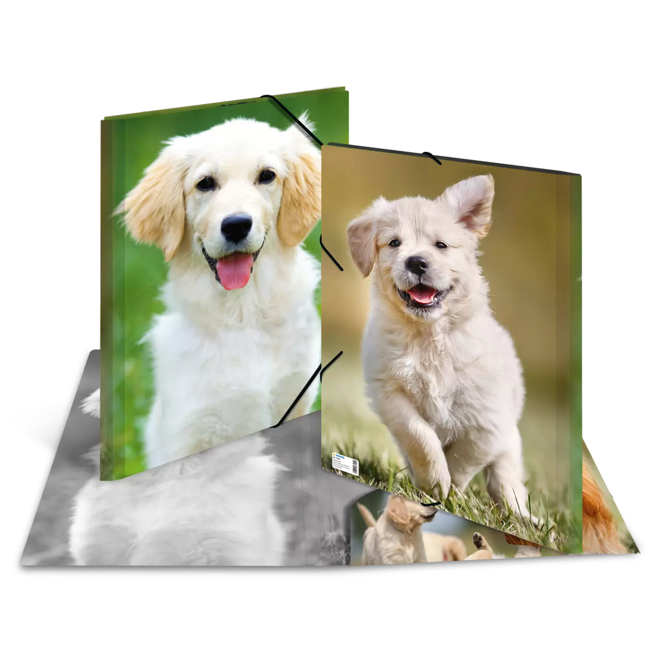 HERMA Sammelmappe A3 · Kunststoff · Hunde