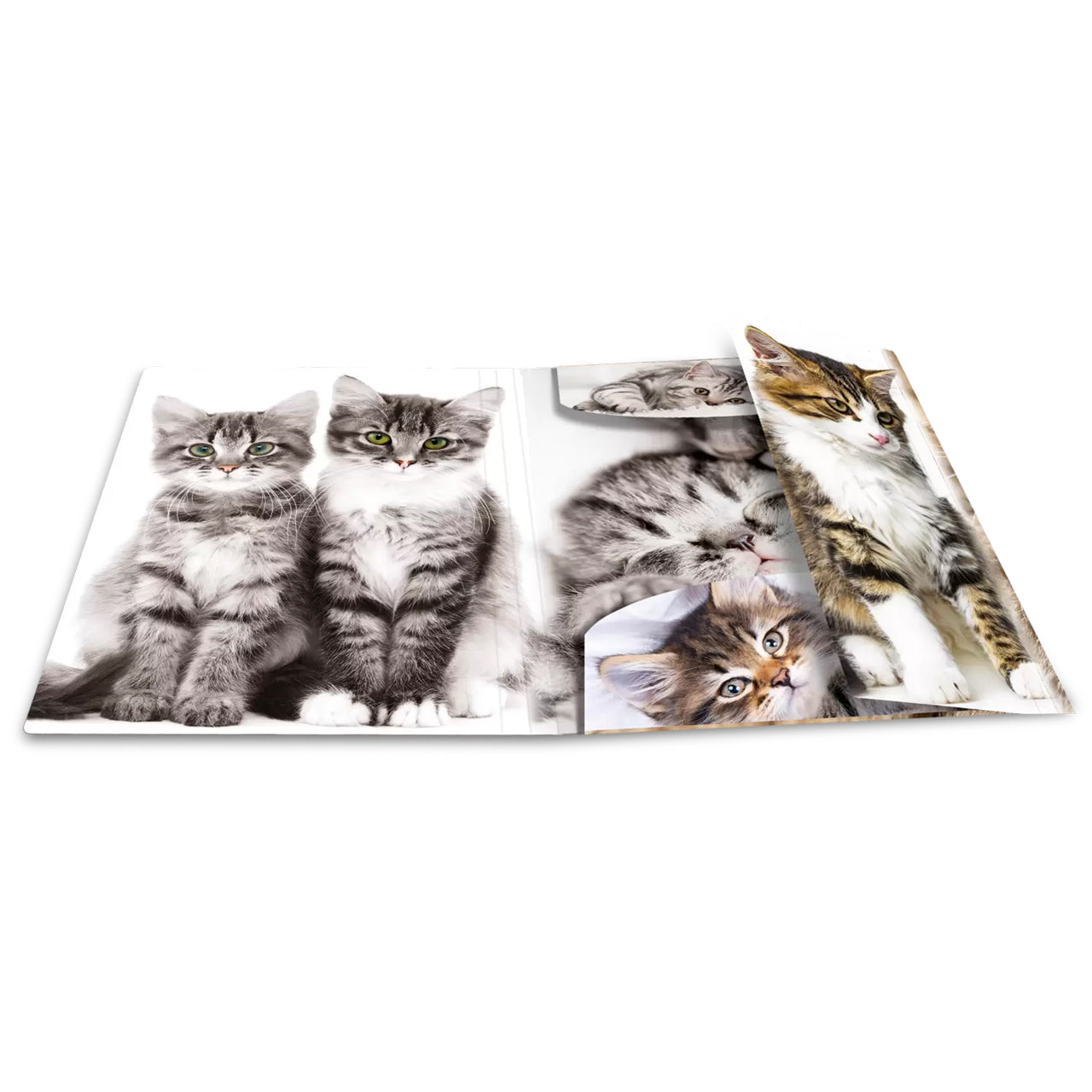 HERMA Sammelmappe A3 · Kunststoff · Katzen