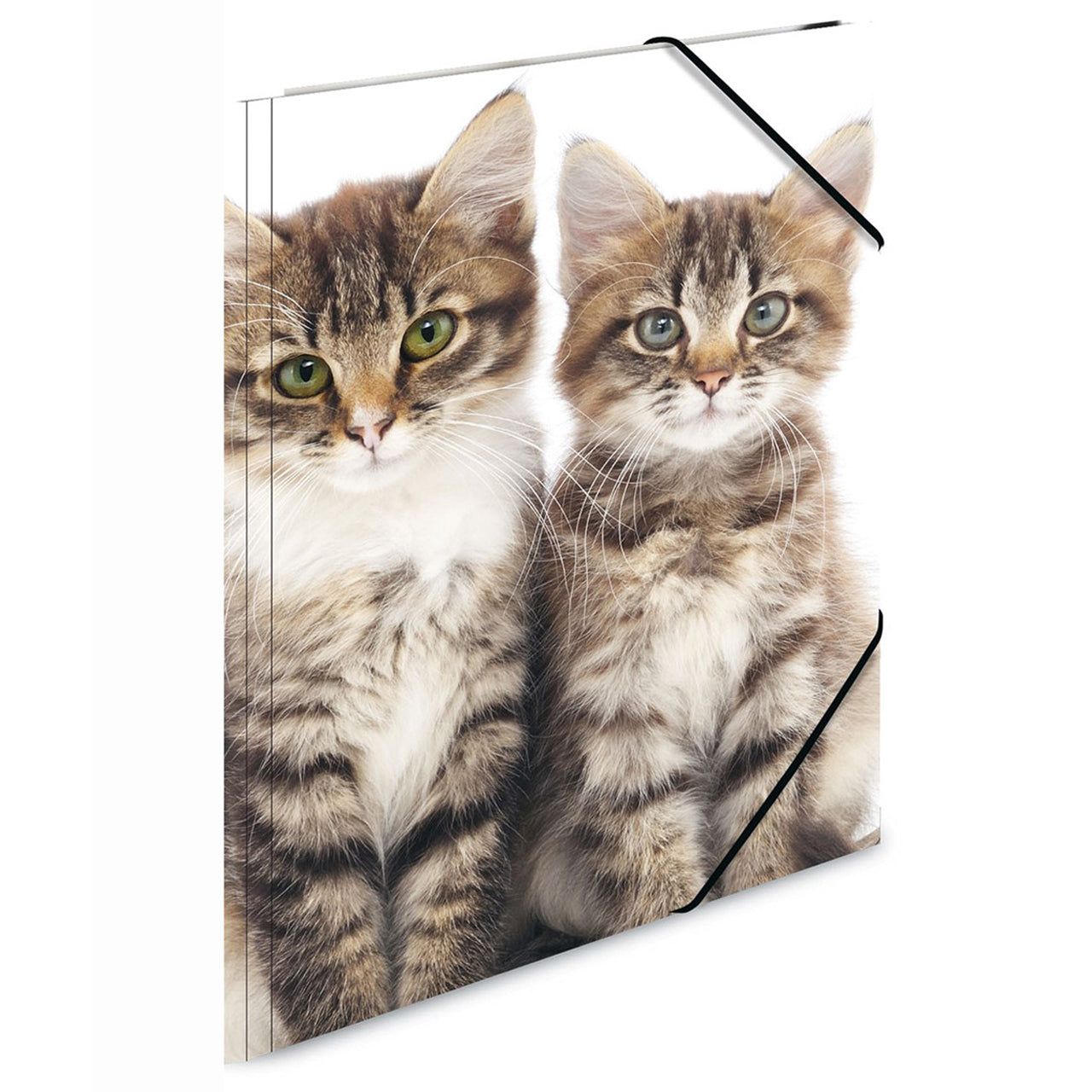 HERMA Sammelmappe A3 · Kunststoff · Katzen