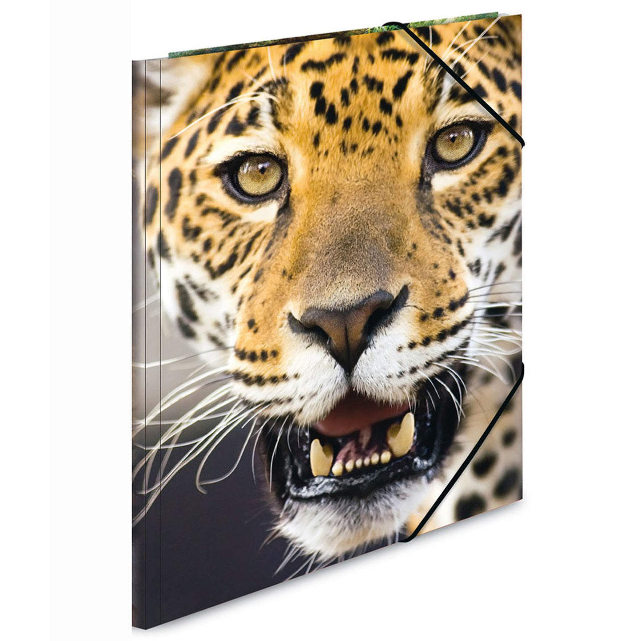 HERMA Sammelmappe A3 · Kunststoff · Raubkatzen