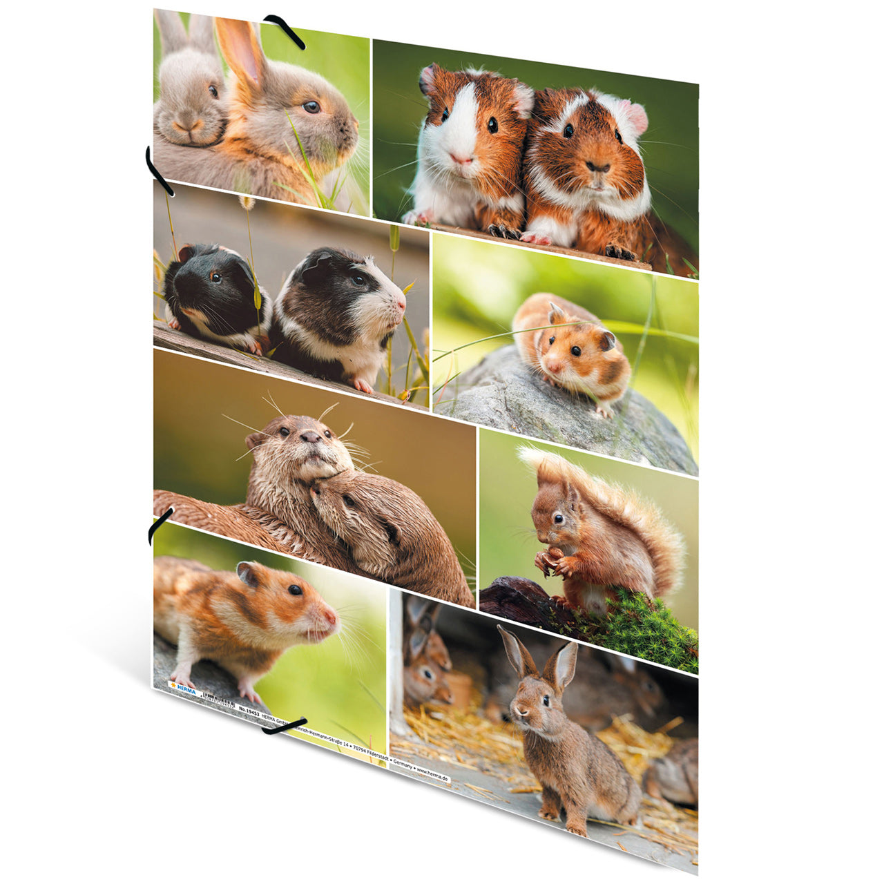 Herma-Sammelmappe-A3-Pappe-Nagetier-Meerschweinchen-ansicht-rueckseite-19453-lafueliki