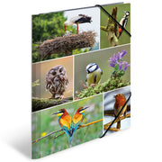 Herma-Sammelmappe-A3-Pappe-Vogel-19455-lafueliki