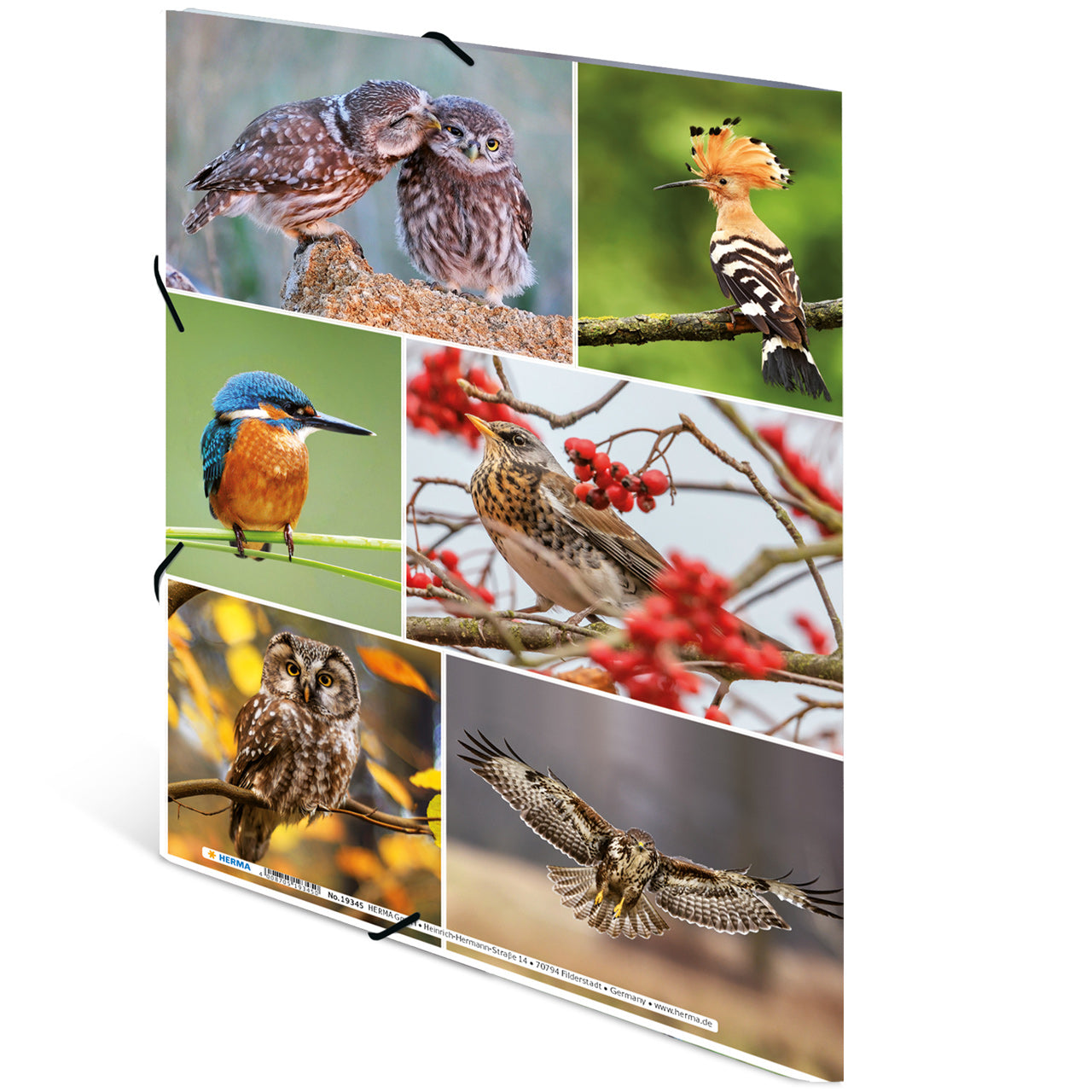 Herma-Sammelmappe-A3-Pappe-Vogel-ansicht-rueckseite-19455-lafueliki
