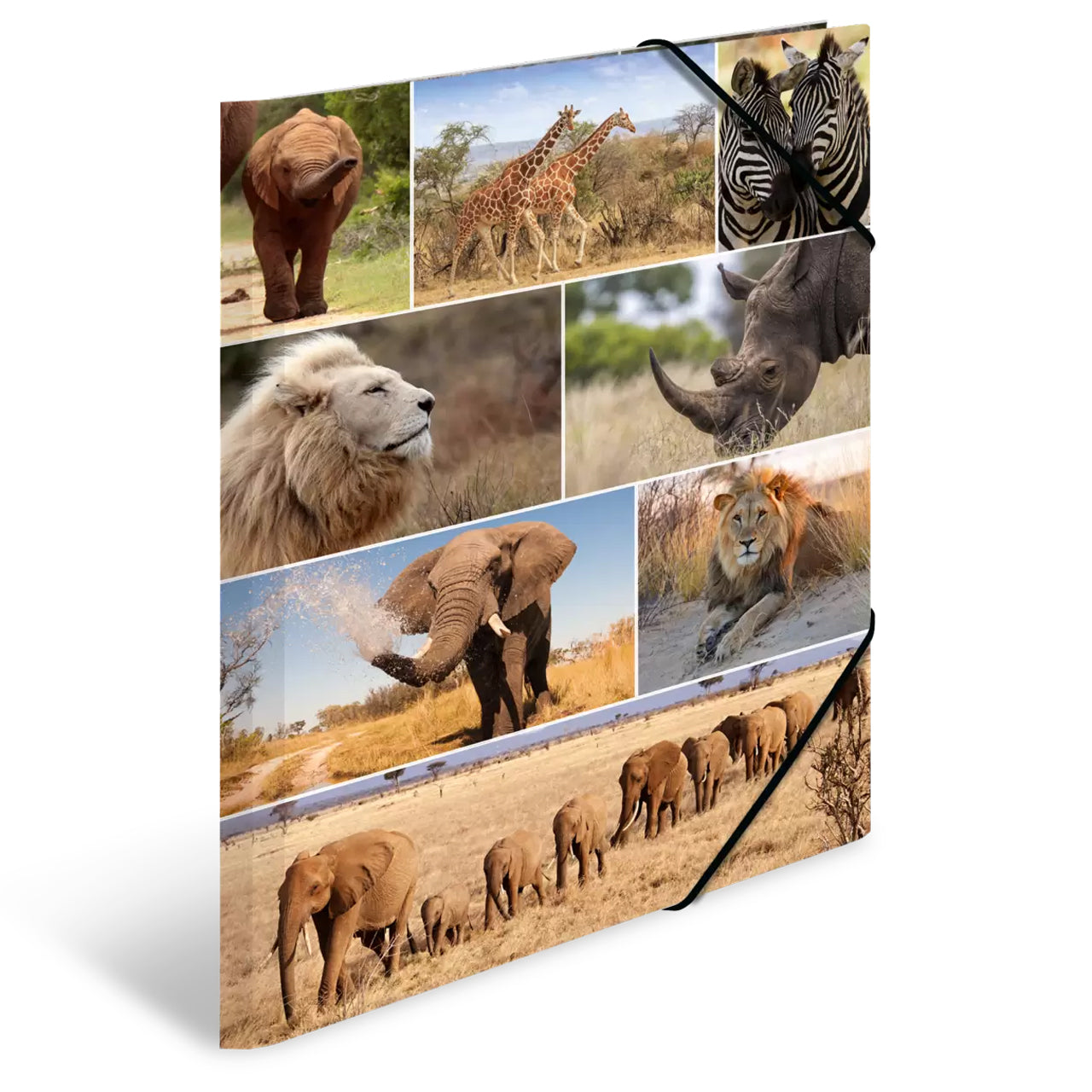 Herma Sammelmappe A3 Pappe · Savannentiere