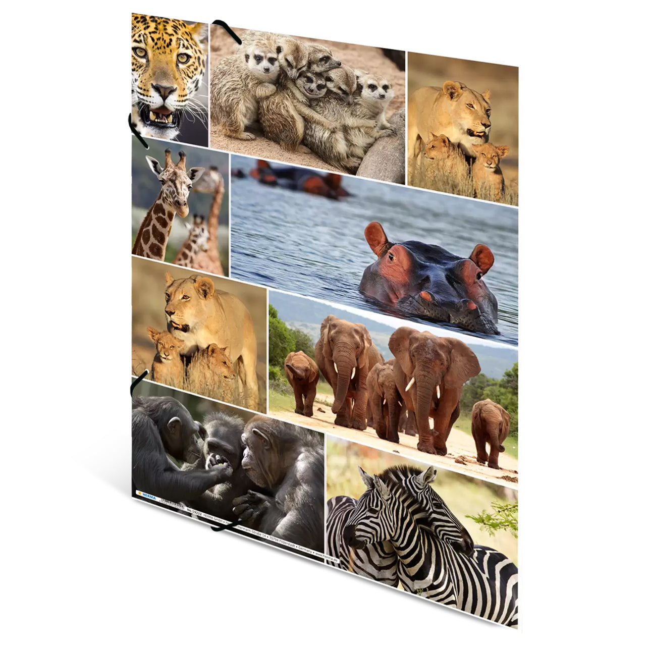 Herma Sammelmappe A3 Pappe · Savannentiere