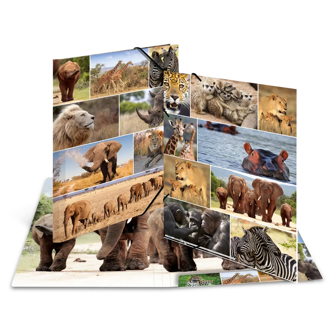 Herma Sammelmappe A3 Pappe · Savannentiere