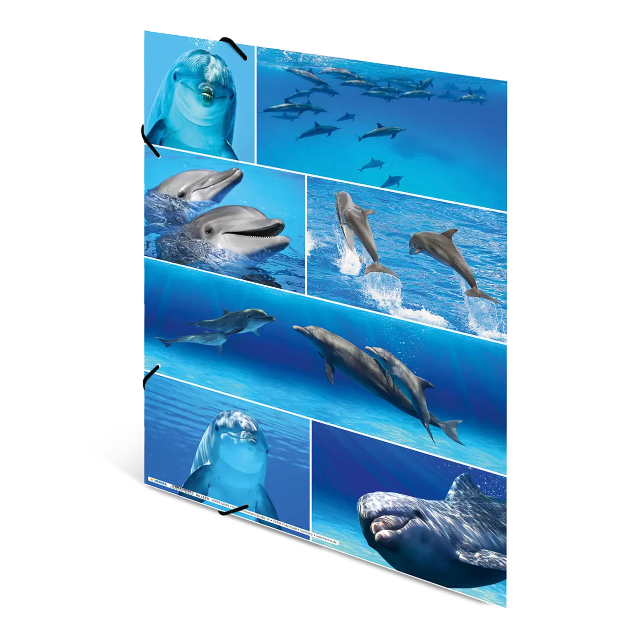 Herma Sammelmappe A3 Pappe · Delfine