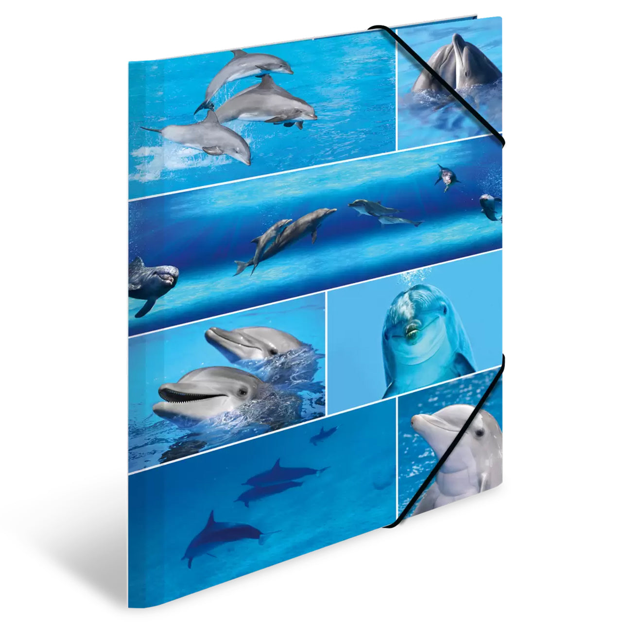 Herma Sammelmappe A3 Pappe · Delfine