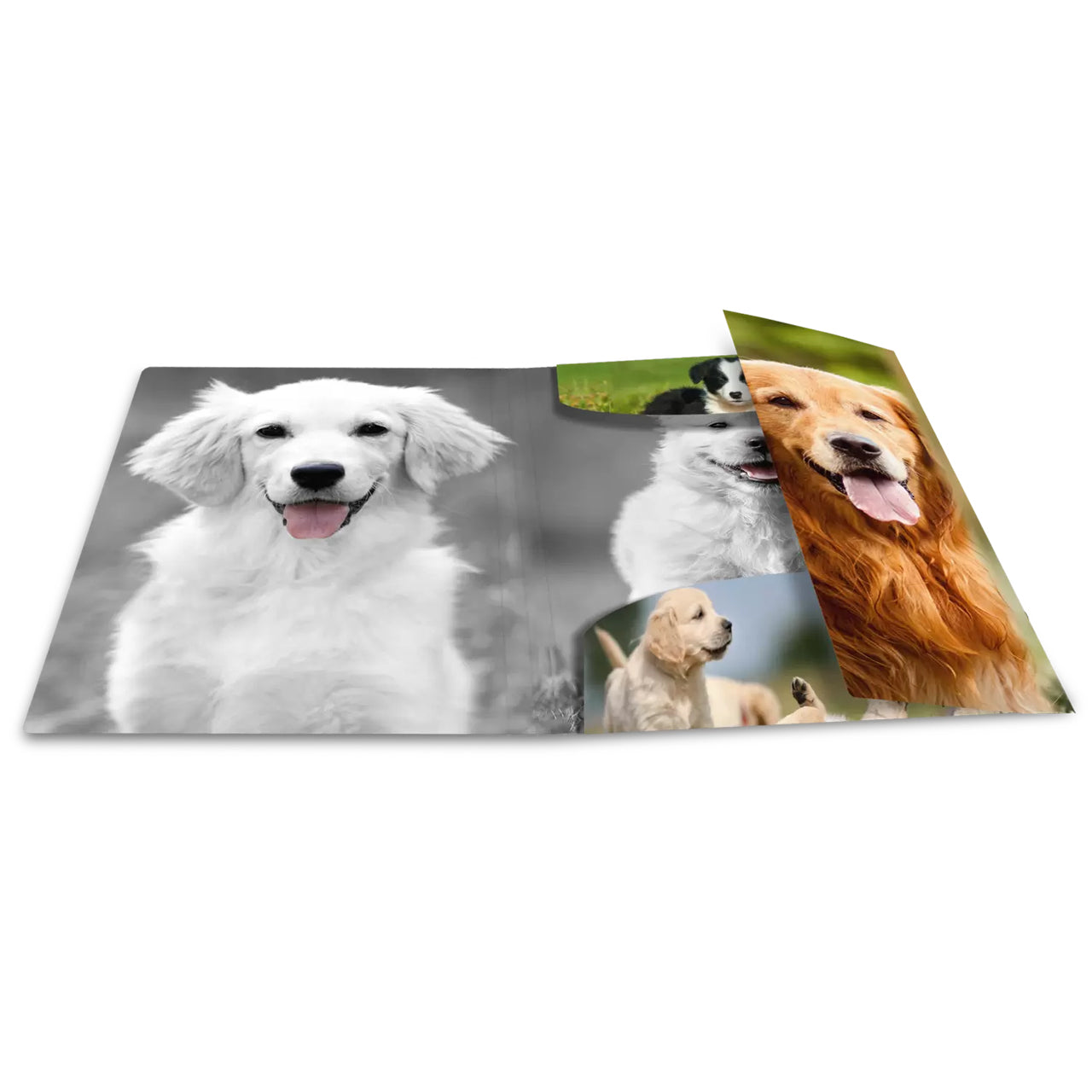 HERMA Sammelmappe A4 · PP · Hunde