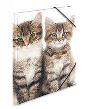 Herma-Sammelmappe-A4-PP-Kunststoff-Katzen-7138-zeichenmappe-kaufen-lafueliki