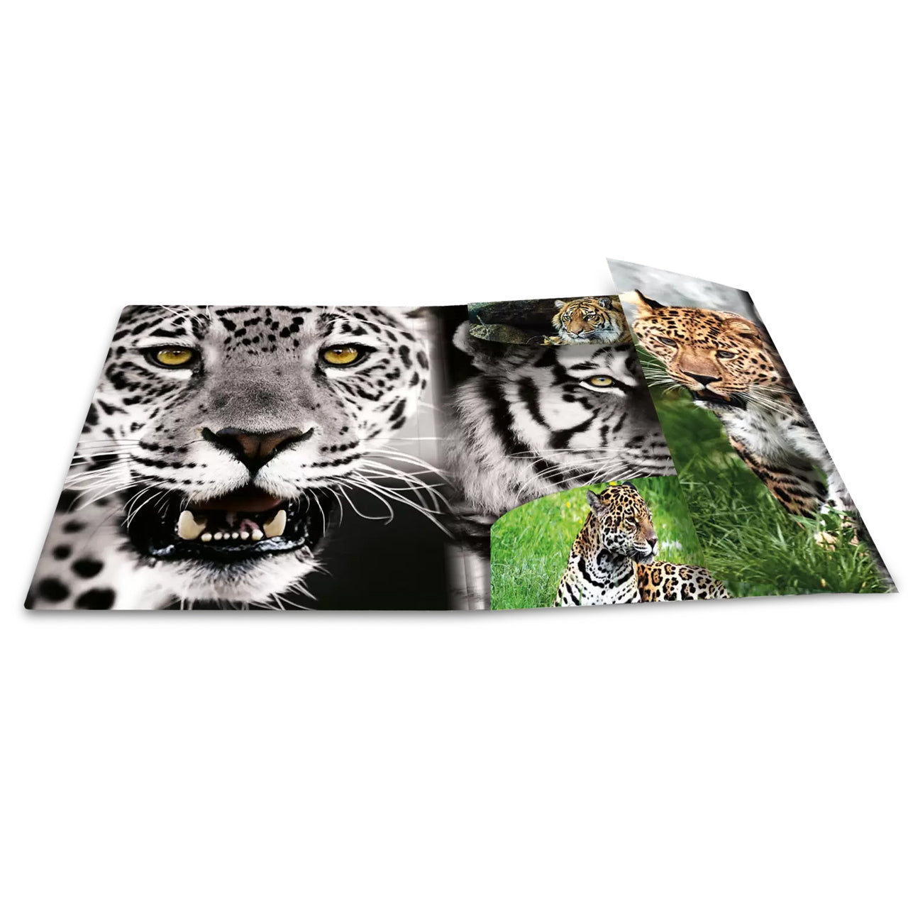HERMA Sammelmappe A4 · PP · Raubkatzen