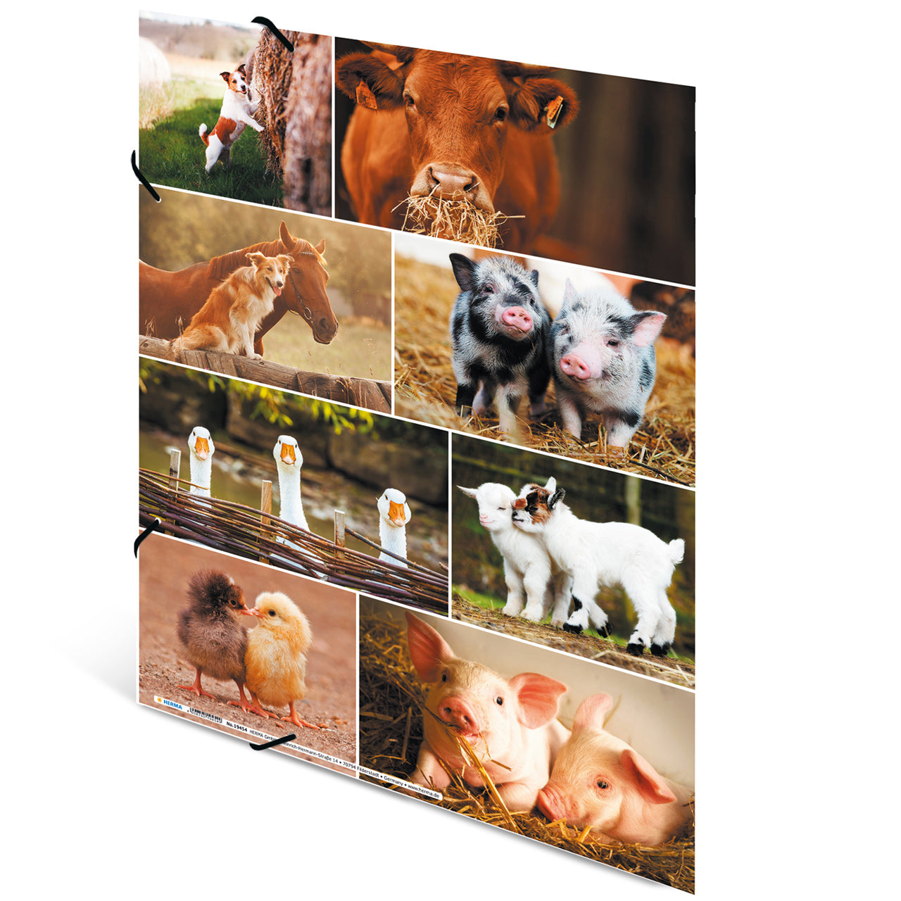 Herma-Sammelmappe-A4-Pappe-Bauernhof-Tiere-ansicht-rueckseite-19344-lafueliki