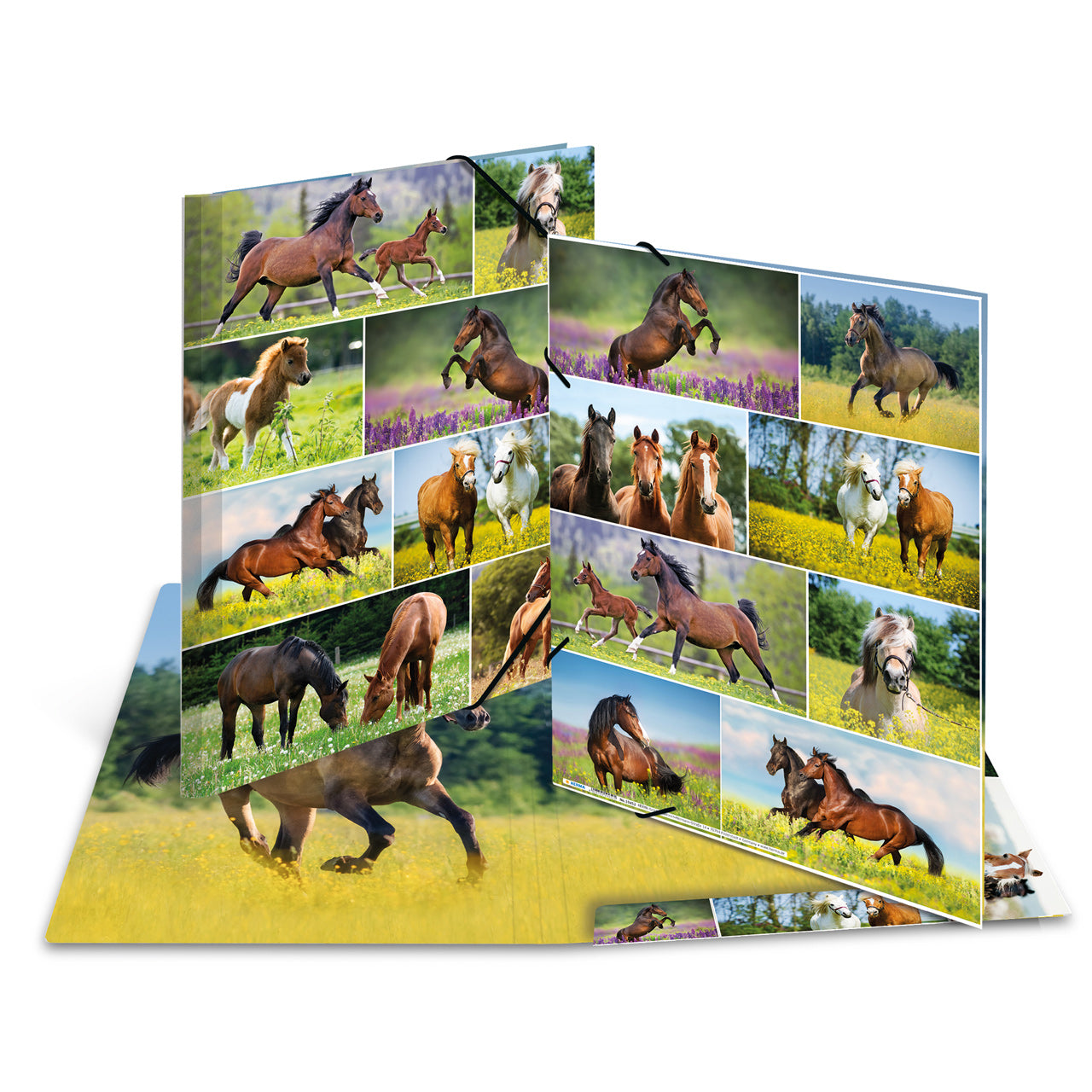 Herma-Sammelmappe-A4-Pappe-Pferd-ansicht-19342-lafueliki