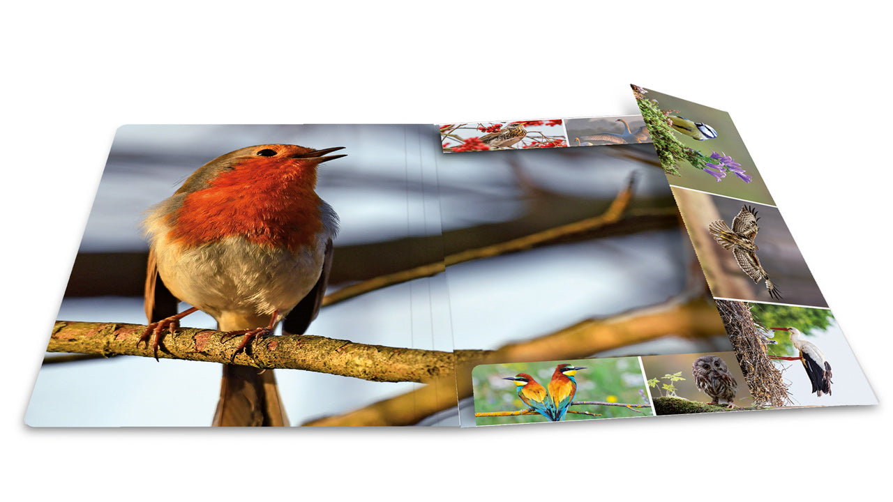 Herma-Sammelmappe-A4-Pappe-Vogel-ansicht-innen-19345-lafueliki