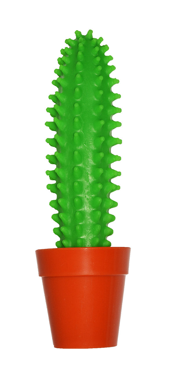 Kugelschreiber-Kaktus-im-topf