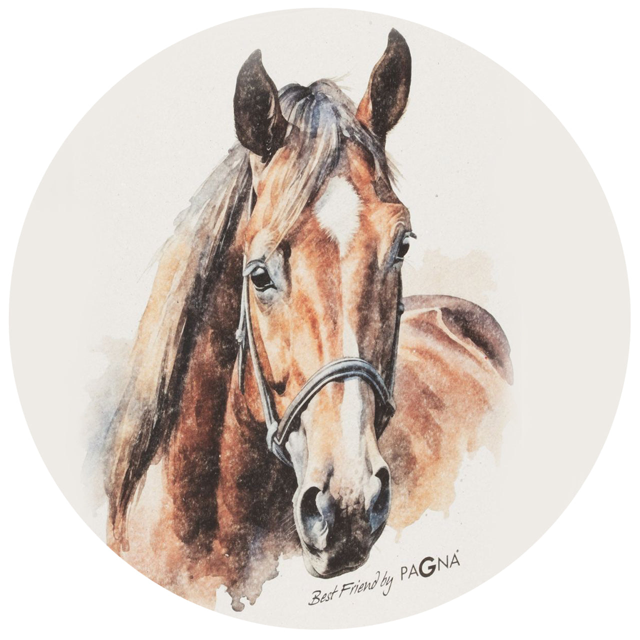 PAGNA Ordner A4 · Pferd braun · Best Friend