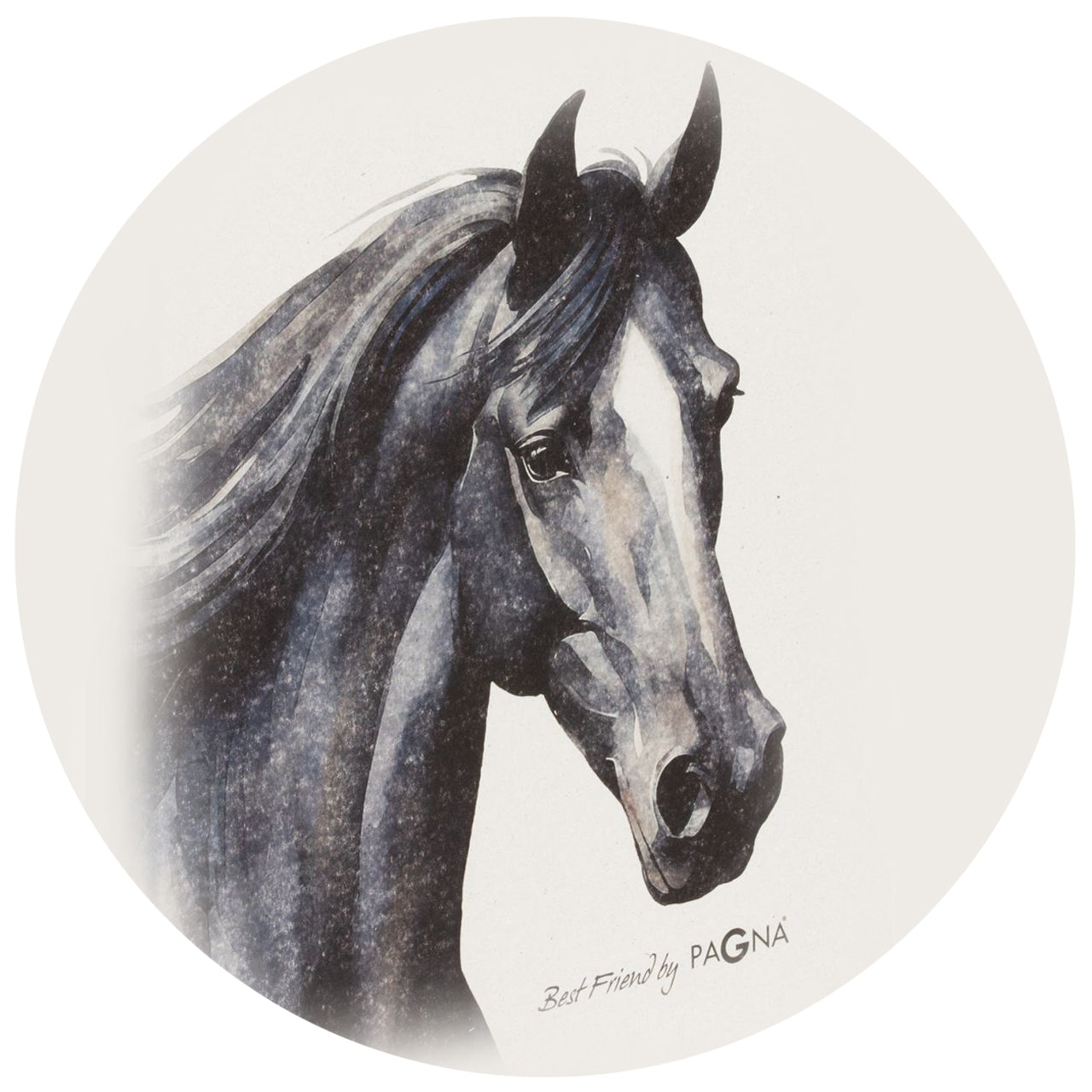 PAGNA Ordner A4 · Pferd schwarz · Best Friend