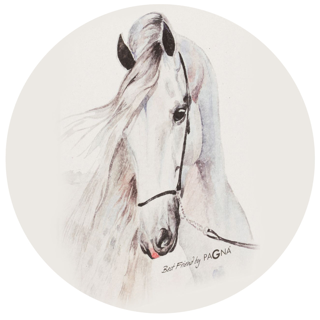 PAGNA Ordner A4 · Pferd weiß · Best Friend
