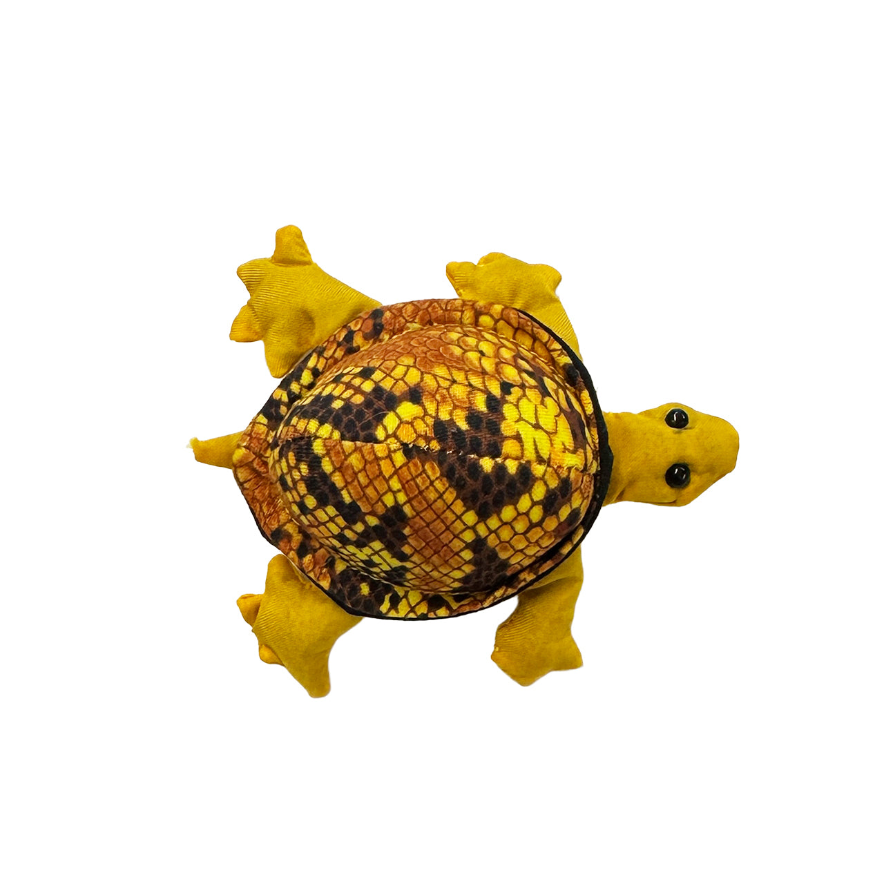 Sandtier Schildkröte - klein
