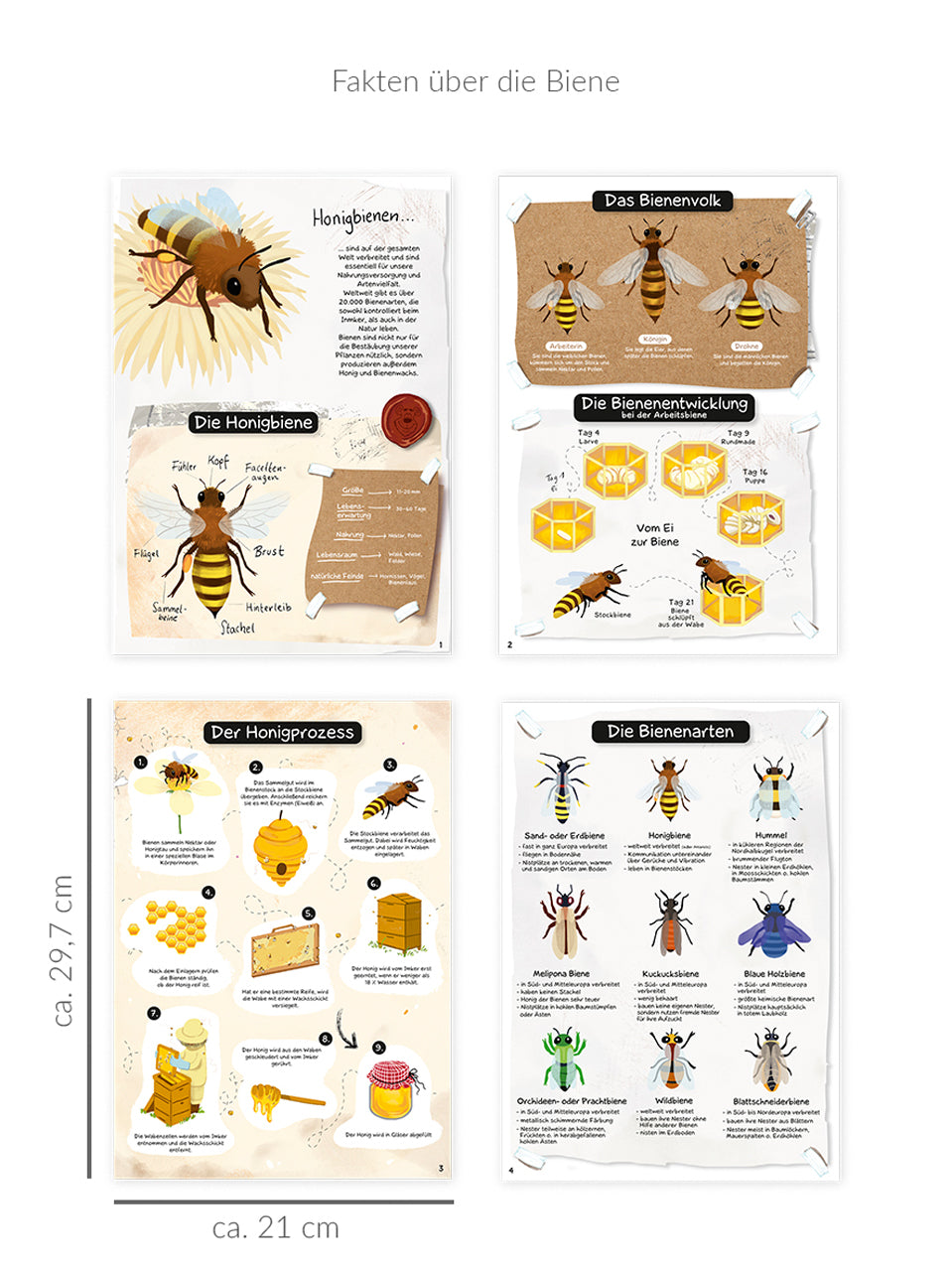 Trendhaus-Activityheft-Meine-Bienenwelt-Fakten-956668-lafueliki